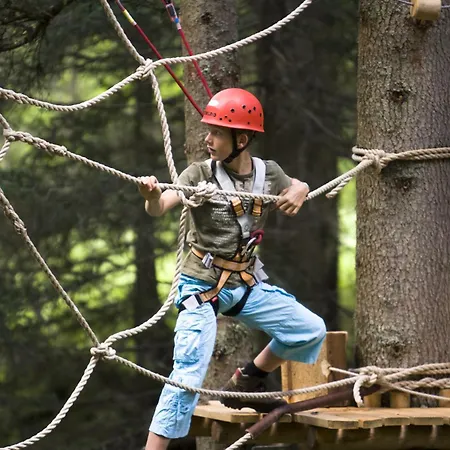 Alp Huette Bregenzerwald 度假居 *