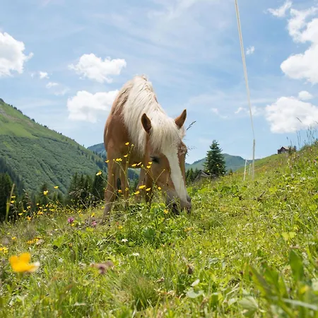 Alp Huette Bregenzerwald *